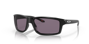 Prizm Grey Lenses, Polished Black Frame