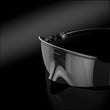 Prizm Black Lenses, Polished Black Frame