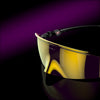 [Prizm 24K Lenses, Polished Black Frame]