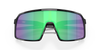 [Prizm Jade Lenses, Polished Black Frame]