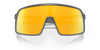 [Prizm 24K Lenses, Matte Carbon Frame]