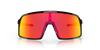 [Prizm Ruby Lenses, Polished Black Frame]