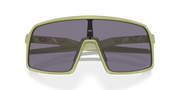 Prizm Grey Lenses, Matte Fern Frame