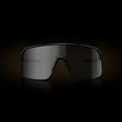 Prizm Black Lenses, Matte Black Frame