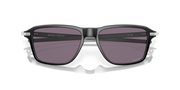 Prizm Grey Lenses, Satin Black Frame