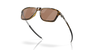 [Prizm Tungsten Polarized Lenses, Polished Brown Tortoise Frame]