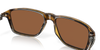 [Prizm Tungsten Polarized Lenses, Polished Brown Tortoise Frame]