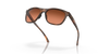 [Prizm Brown Gradient Lenses, Matte Brown Tortoise Frame]