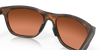 [Prizm Brown Gradient Lenses, Matte Brown Tortoise Frame]