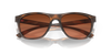 [Prizm Brown Gradient Lenses, Matte Brown Tortoise Frame]