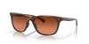 [Prizm Brown Gradient Lenses, Matte Brown Tortoise Frame]