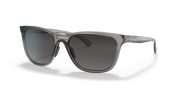 Prizm Grey Gradient Lenses, Grey Ink Frame