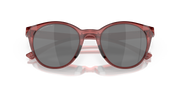 Prizm Black Polarized Lenses, Berry Frame