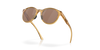 [Prizm Tungsten Polarized Lenses, Light Curry Frame]