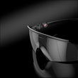 Prizm Black Lenses, Polished Black Frame