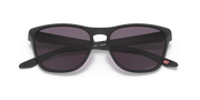 Prizm Grey Lenses, Matte Black Frame