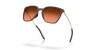 [Prizm Brown Gradient Lenses, Matte Grenache Frame]