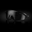 Prizm Black Lenses, Matte Black Frame