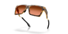 [Prizm Brown Gradient Lenses, Polished Brown Tortoise Frame]