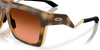 [Prizm Brown Gradient Lenses, Polished Brown Tortoise Frame]