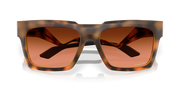 Prizm Brown Gradient Lenses, Polished Brown Tortoise Frame