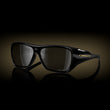 Prizm Black Lenses, Polished Black Frame