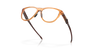 [Polished Transparent Gingerframe]