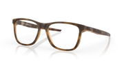 Satin Brown Tortoiseframe