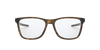 [Satin Brown Tortoiseframe]