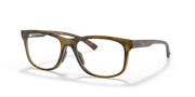 Satin Brown Tortoiseframe