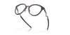 [Polished Brown Tortoiseframe]