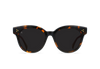 [Nero Tortoise / Dark Smoke]