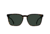 [Brindle Tortoise / Green Polarized]