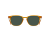 [Honey / Green Polarized]