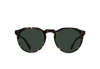 [Brindle Tortoise / Green Polarized]