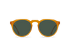 [Honey / Green Polarized]