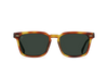 [Split Moab Tortoise / Green Polarized]