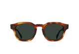 Split Moab Tortoise / Green Polarized