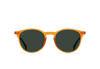 [Honey / Green Polarized]