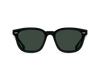 [Recycled Black / Green Polarized]