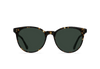 [Brindle Tortoise / Green Polarized]