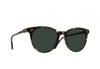 [Brindle Tortoise / Green Polarized]