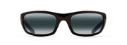 Neutral Grey Lenses, Gloss Black Frame