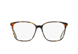 Nero Tortoise / Clear