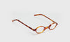 [06 - Orange Tortoise Front and Temples]