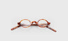 [06 - Orange Tortoise Front and Temples]