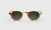 [04 - Caramel Tortoise Front and Temples]