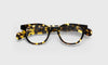 [20 - Demi Tortoise Front and Temples]