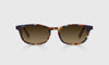 [09 - Navy and Mahogany Tortoise Front and Temples]