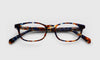 [09 - Navy and Mahogany Tortoise Front and Temples]